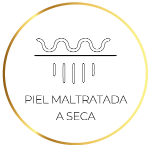 pielmaltratadayseca